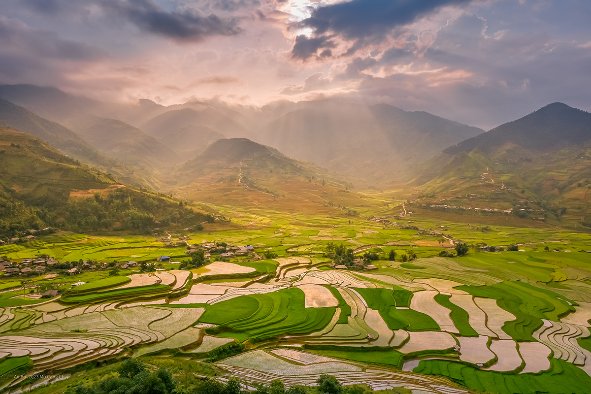Global rice production nearly doubled despite climate change, driven largely by human management
