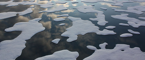 Climate Banner