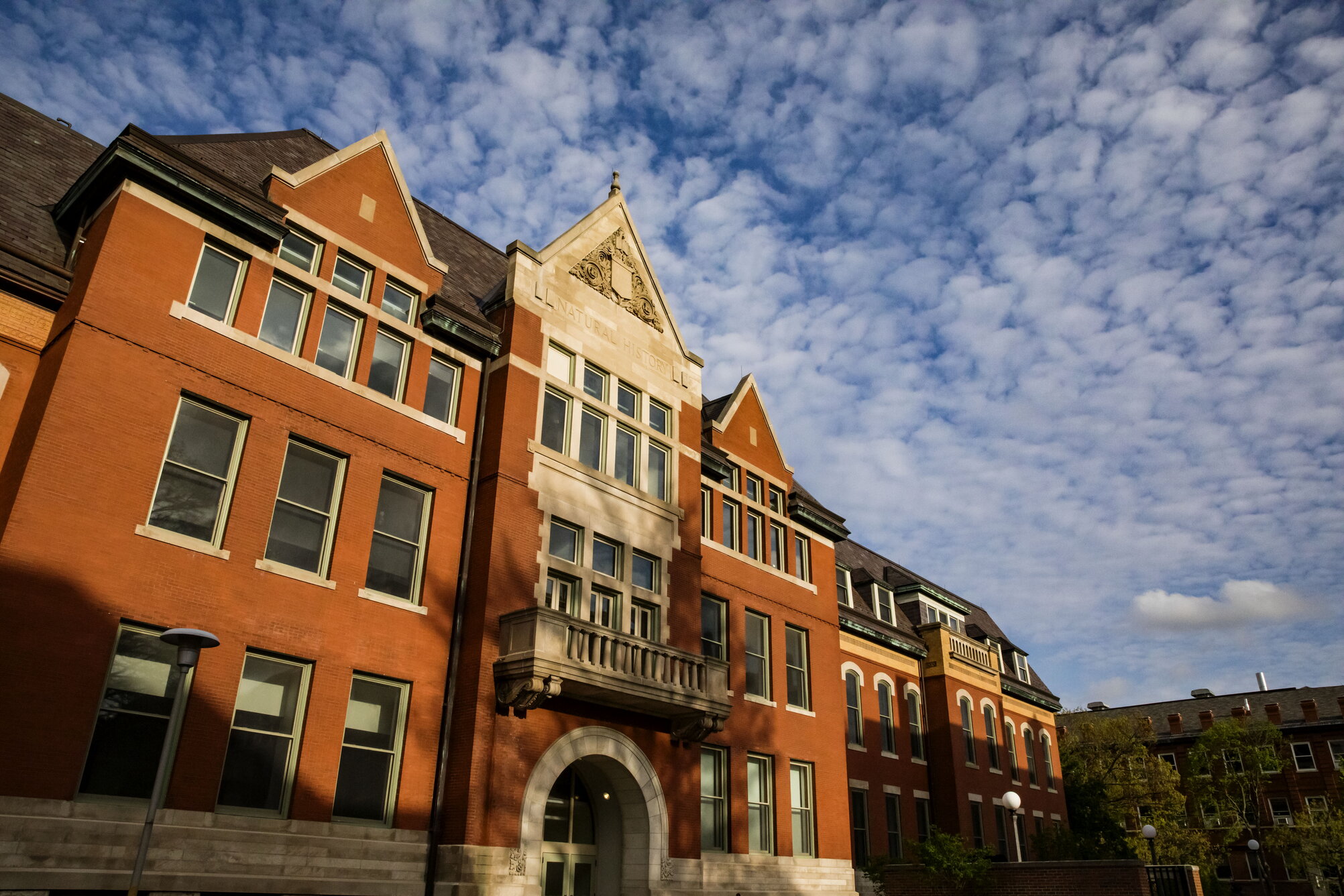 The Natural History Building in a sunset.