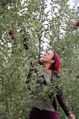 Katie apple picking