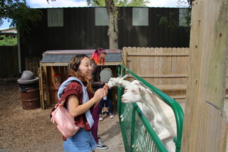 Maile Feeding a goat